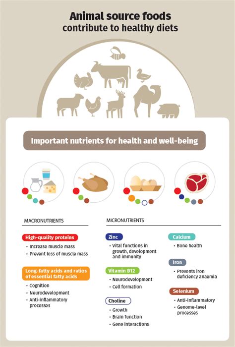 Boost Your Health with Nutritious Animal Source Foods: A Guide to the Benefits and Best Choices