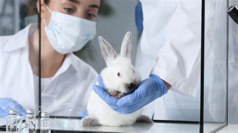 Animal Test