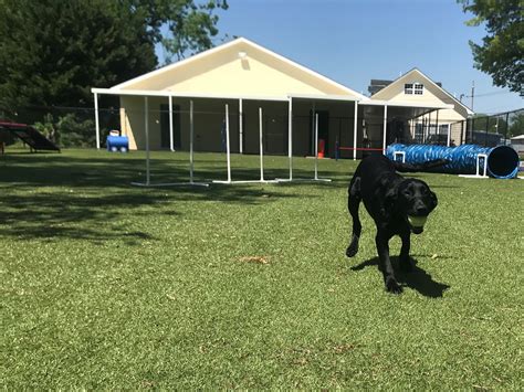 Discover the Wildlife Wonders of Decatur, AL with Expertly Tracked Animal Trails