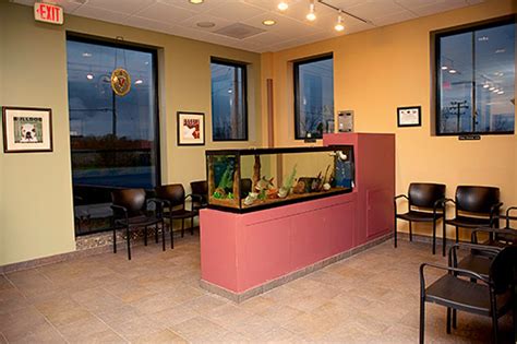 Discover Premium Animal Wellness Services at Animal Wellness Center of Monee