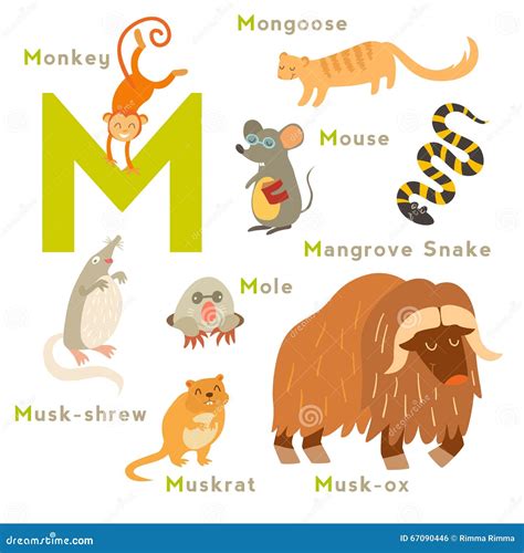 Majestic Animals with the Letter M: Discover the Top 10 Fascinating Creatures