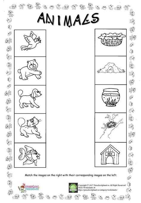 Animal Worksheets For Kindergarten