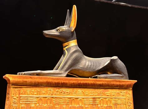 Animals in Ancient Egypt