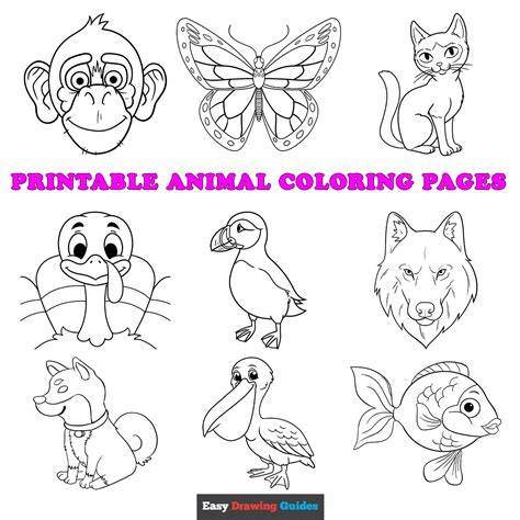 Animals Color Page
