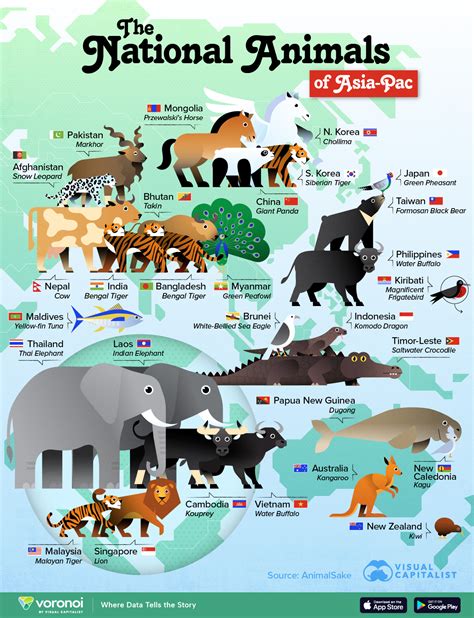 Flat Asian Flora and Fauna Map Constructor Elements. Animals, Bi Stock