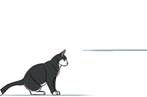 Animated Cat Jump Gif