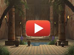 Animated Projections Quebec City