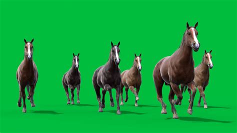 Gallop into Imagination with Stunning Animation Pictures of Horses