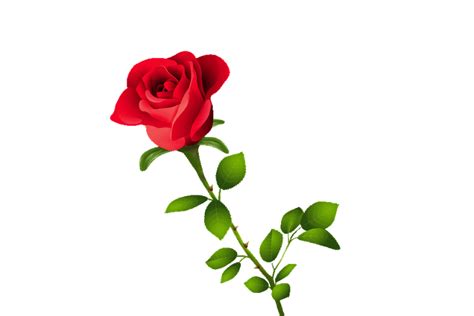 Captivating Animation Pictures of Roses to Take Your Breath Away - The Ultimate Collection!