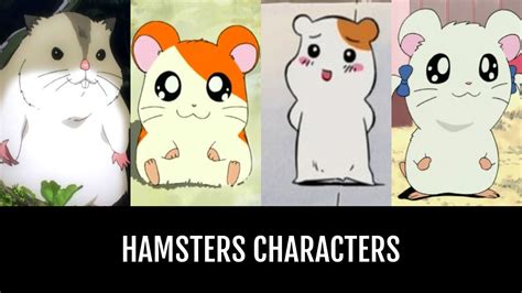 Anime Del Hamster
