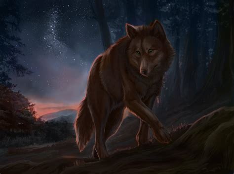 Anime Wolf Night