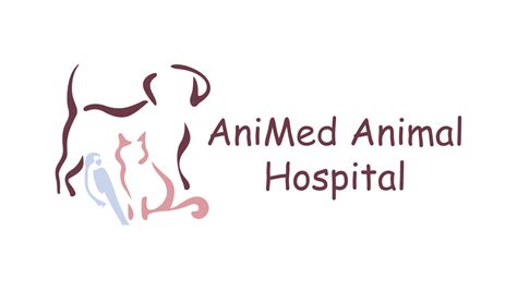 Exceptional Care for Your Furry Friends at Animed Animal Hospital Blue Springs MO: Book an Appointment Today.
