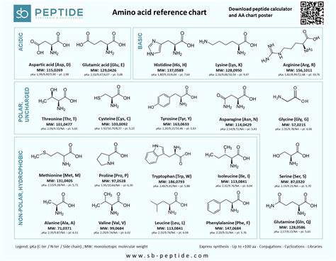 Animo Acid Chart