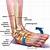 Ankle Sprain Anatomy
