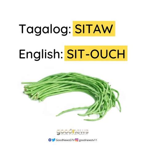 Anong English Ng Sitaw