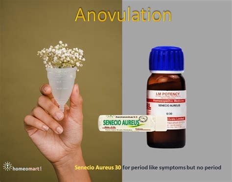 Anovulation: Restore Your Cycle, Find Solutions.