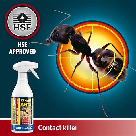 Ant Control: Fast, Effective Solutions Now!