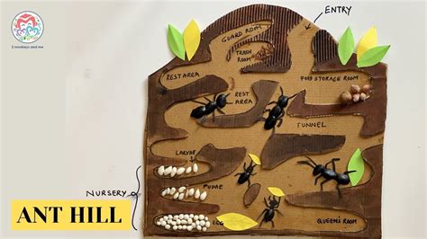Ant Hill Craft