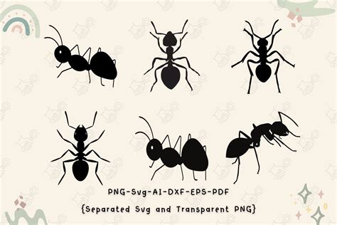 Unleashing the Majesty of Nature: Stunning Ant SVG Designs for Exceptional Web Development