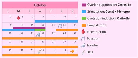 Antagonist Protocol Ivf Calendar