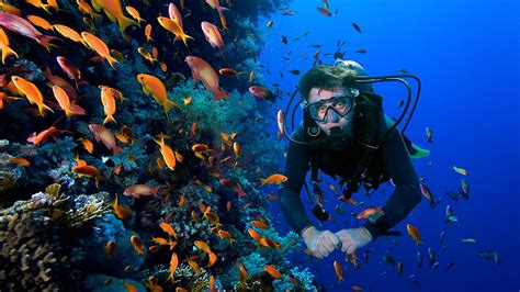Antalya Diving Review: Find Sea Secrets on a Discovery Tour