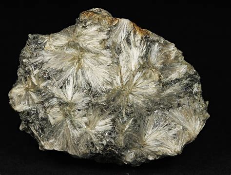 Anthophyllite