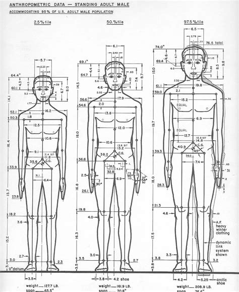 Anthropometric
