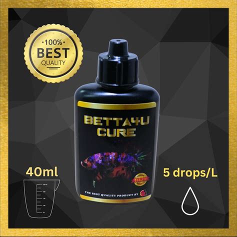 Antibiotic For Betta Fish