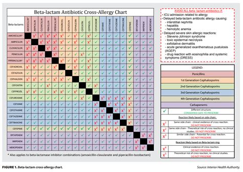 Antibiotics Cross Reactivity Chart