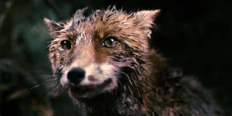 Antichrist Film Fox