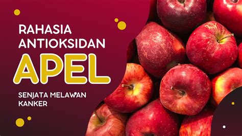 Antioksidan Apel