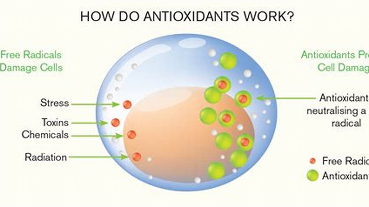 Antioxidant Protection, Aromatherapy