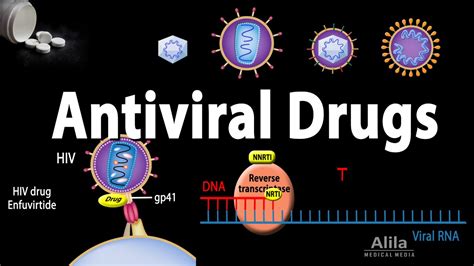 Antiviral drugs help to treat viral infections Quizlet
