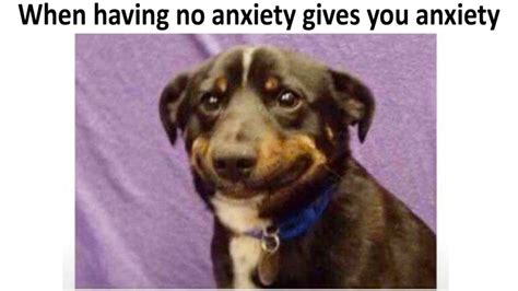 Anxious Dog Meme