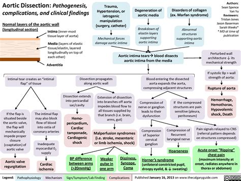 Aortic dissection 01