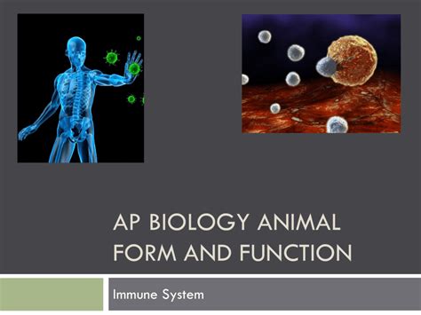 Explore the Wonders of Animal Form and Function in AP Biology: An In-Depth Analysis