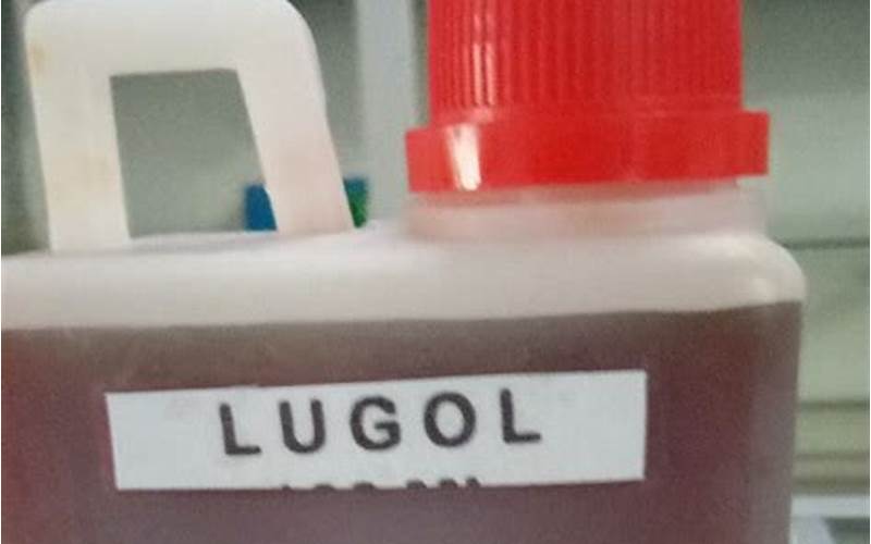 Apa Itu Lugol?