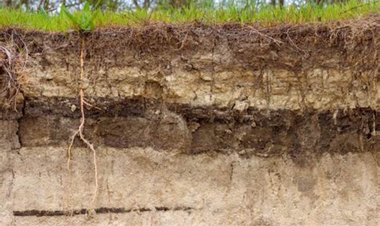 Apa ciri ciri tanah aluvial?