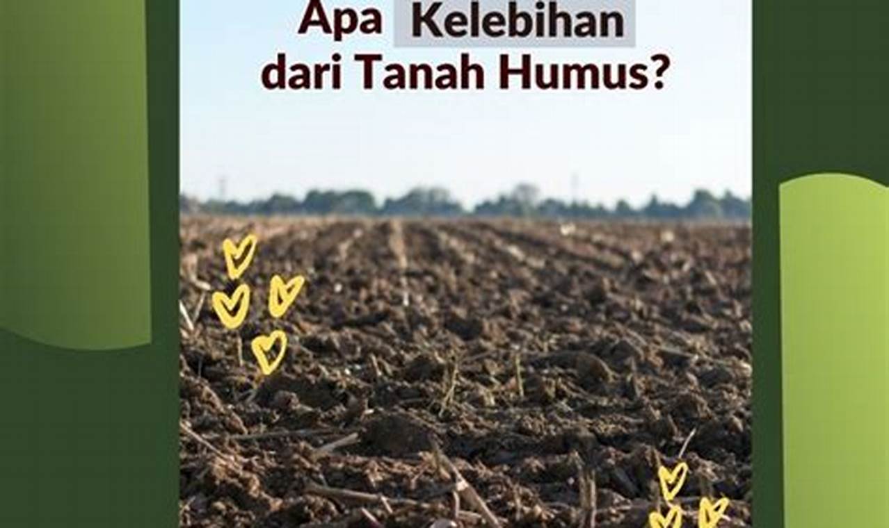 Apa ciri ciri tanah humus?