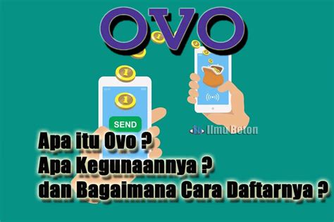 Apa itu OVO?