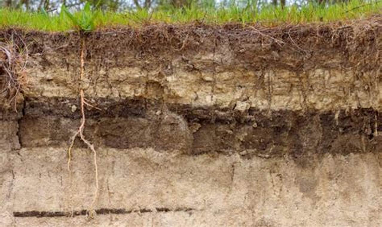 Apa keuntungan tanah aluvial?