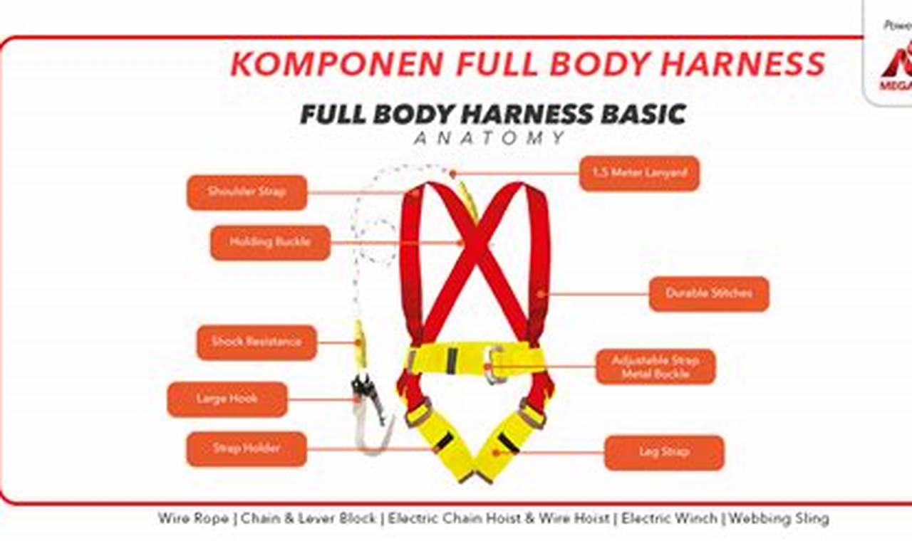 Apa perbedaan dari safety belt dan full body harness?