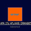Exploring the Benefits of the Orange Application in Indonesia