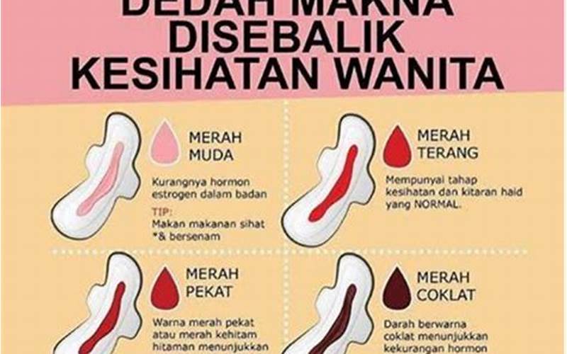 Apakah Darah Menstruasi Bisa Menyembuhkan Jerawat?