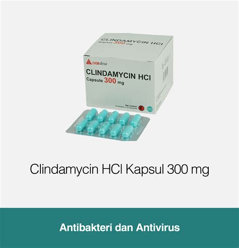 Apakah Harga Obat Clindamycin?