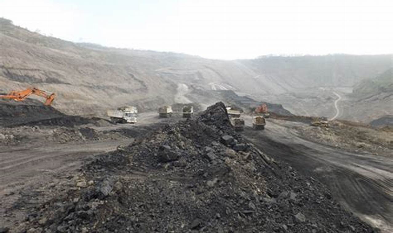 Apakah batu bara hasil tambang?