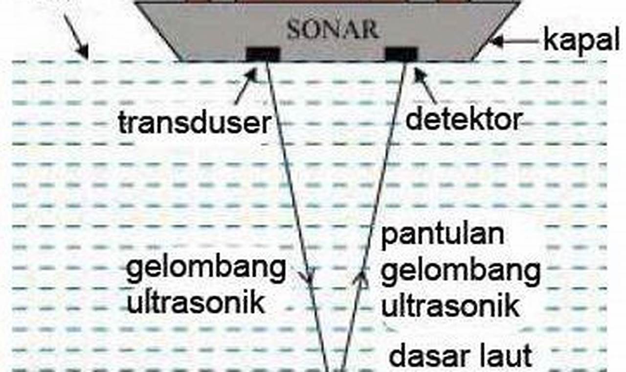 Apakah bunyi digunakan dalam teknologi sonar?