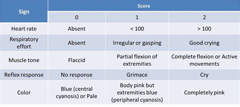 Apgar Score Calculator