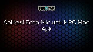 Aplikasi Echo Mic untuk PC di Indonesia