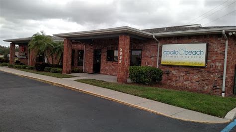 Top-Quality Pet Care at Apollo Animal Hospital in Apollo Beach, FL - Your Furry Friends Deserve the Best!